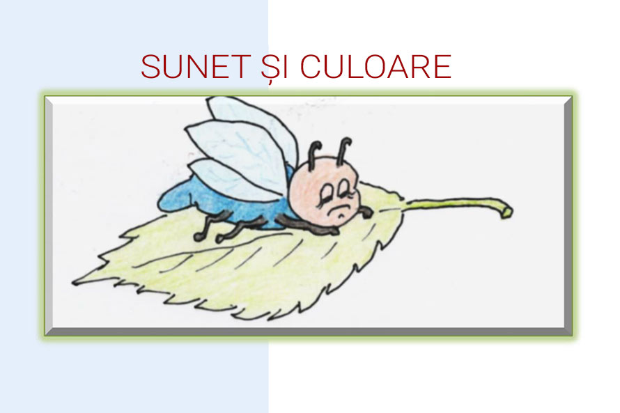Revista Sunet și Culoare, 2016